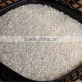 IDLY RICE thumbnail-1