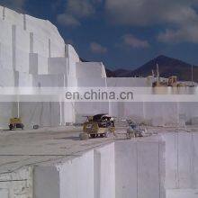 Greece Thassos White Marble Tiles Slabs for Inner Wall and Floor thumbnail-4