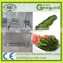 Seaweed Washing Machine/best Seller Kelp Cleaning Machine/seaweed Cleaning Machine thumbnail-3