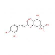 100% Pure Eucommia Extract Chlorogenic Acid Powder 5-98%（10% 25% 30% 50% 90%） (HPLC) thumbnail-2
