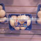 Plastic Packaging Material For Frozen Food thumbnail-2