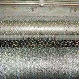Hot Dip Galvanized Hexagonal Wire Netting