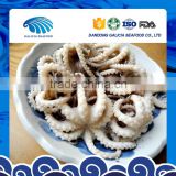Frozen Baby Octopus High Quality Low Price