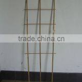 Bamboo Trellis Sun-007 thumbnail-1