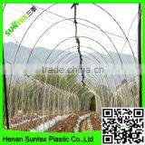 SUPER PLANT SUPPORTS NETTING MADE EASY GROW TENT NET thumbnail-4