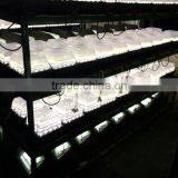 2016 LED New Product US Style Gas Station Canopy Lighting thumbnail-5