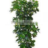 140 cm Artificial Schefflera Gold