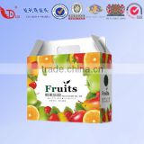 Wholesale Fruit Gift Packaging Box With Handle