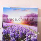 Home Wall Decorative Collage Glass Hanging Frameless Picture Frame thumbnail-1