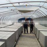 CLC Cellular Lightweight Concrete Machine