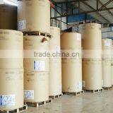 Food Grade One Side pe Coated Paper in Roll/paper in Sheet for Paper Cup, Paper Cup Raw Material thumbnail-6