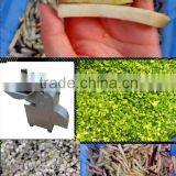 CHD100, Dicing Machine, Vegetable Cutter, CHINA FD thumbnail-2