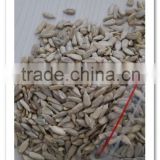 Confectionery Sunflower Seed Kernels 2015 new crop