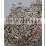 Confectionery Sunflower Seed Kernels 2015 New Crop thumbnail-1