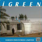 Single Tunnel Polycarbonate Sheet Vegetable Greenhouse From CHINA thumbnail-1