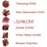 Red Chili Pepper thumbnail-1