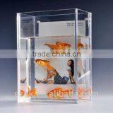 Clear Acrylic Square Desktop Aquarium Fish Tank With Picture Holder Promotion