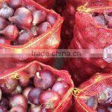 Red Onion thumbnail-1