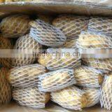 Holland Fresh Potato With Cheap Price Importer in Malaysia thumbnail-3