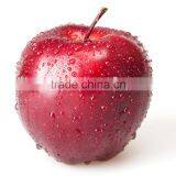 2016 Fresh Red Star Apples With High Quality for Sale Chinese Fresh Red Star Apples Factory thumbnail-1