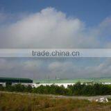 Pickled Preservation Style Baby Cucumber thumbnail-5