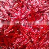 CHILI PEPPER thumbnail-6