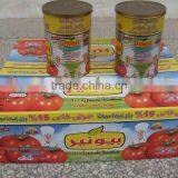 Tomato Ketchup Dubai, Wholesale Canned Tomatoes, Tomato Ketchup, Tomato Ketchup Brand thumbnail-2
