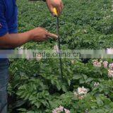 Qingdao Manufacturer Mushy Alginate Fertilizer Indole Acid Organic Fertilizer thumbnail-3