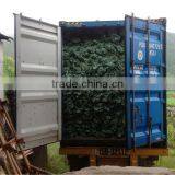 Wooden Broom Stick PVC Coated/ Wooden Broom Handle ( Contact@kego.com.vn) thumbnail-1