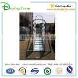 Cattle Load Chute for Livestock Handling Equipment thumbnail-3