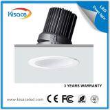 CE/ROHS/UL Chinese LED Down Light Manufacturer for Hotel LED Down Light 20W/30W