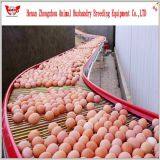 Best Sell Used Chicken Cages for Poultry Farm thumbnail-4