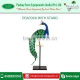 Customly Designed Metal Peacock With a Stand for Garden Decoration thumbnail-4
