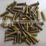 Brass Slotted Screw thumbnail-1