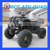 110cc/125cc Atv,quads for Sale,cheap Atv Quad Dune Buggy Military Vehicles(JLA-11-2) thumbnail-1