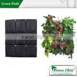 Green Field Hang Flower Pot