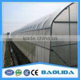 Single-Span Agricultural Planting Plastic Greenhouse thumbnail-1