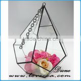 Clear geometrical terrarium glass hanging for indoor plant holder