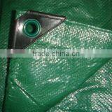 PE Material and Make-to-Order Supply Type PE Tarpaulin thumbnail-2