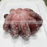 Frozen Octopus thumbnail-2