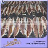 New Product Pacific Mackerel Fillet thumbnail-1