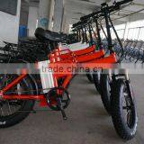 20 Inch Electric Bike Small Folding Electric Bicycle Fat Tire Ebike thumbnail-3