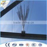 Protected Bird Repeller Anti Bird Spike thumbnail-1