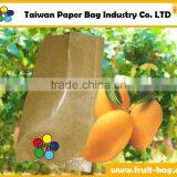 TPBI Double Protection Kraft Paper Bag for Mango thumbnail-1