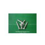 Self Tapping Screw(Din7981) thumbnail-1