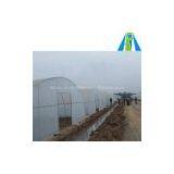 Hot Sale Plastic Cover Greenhouse thumbnail-1
