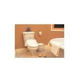 Electronic Bidet, Toilet thumbnail-1