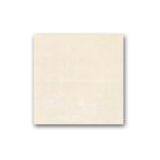 Polished Tile thumbnail-1