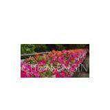 Flower Pot -Flower Wall thumbnail-1