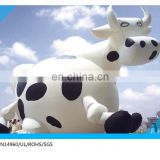inflatable cow costume /giant inflatable cow
